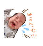 hacoto（個別スタンプ：1）