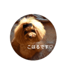おでかけしない？（個別スタンプ：1）