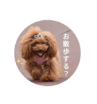 おでかけしない？（個別スタンプ：3）