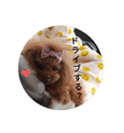 おでかけしない？（個別スタンプ：4）