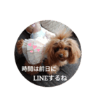 おでかけしない？（個別スタンプ：5）