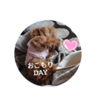 おでかけしない？（個別スタンプ：6）