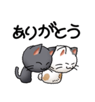 猫ねこパラダイス その2（個別スタンプ：5）