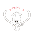素人のイカ（個別スタンプ：12）