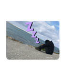 自分用のLINEスタンプ（個別スタンプ：5）