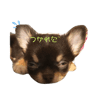 ろぃくん（個別スタンプ：3）