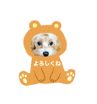 momo ＆candy（個別スタンプ：8）