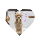 マルプのクーちゃん（個別スタンプ：2）