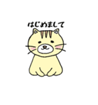 ネコのぶんた あいさつ（個別スタンプ：1）
