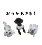 犬との日常 v1（個別スタンプ：2）