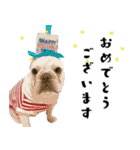 犬との日常 v1（個別スタンプ：5）