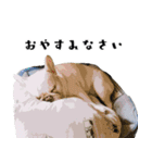 犬との日常 v1（個別スタンプ：6）