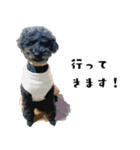 犬との日常 v1（個別スタンプ：8）