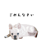 犬との日常 v1（個別スタンプ：14）