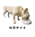 犬との日常 v1（個別スタンプ：20）