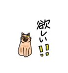 マツゲの人々と猫（個別スタンプ：10）