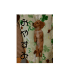きなこすたんぷ第2弾（個別スタンプ：2）