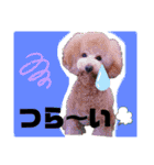 モアスタンプ第三弾（個別スタンプ：1）