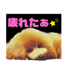 モアスタンプ第三弾（個別スタンプ：2）