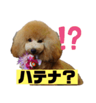 モアスタンプ第三弾（個別スタンプ：4）