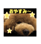 モアスタンプ第三弾（個別スタンプ：5）