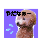 モアスタンプ第三弾（個別スタンプ：6）