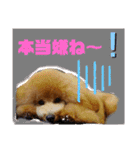モアスタンプ第三弾（個別スタンプ：8）