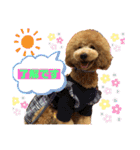 モアスタンプ第三弾（個別スタンプ：11）