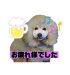 モアスタンプ第三弾（個別スタンプ：12）
