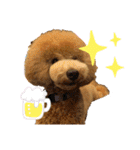 モアスタンプ第三弾（個別スタンプ：17）