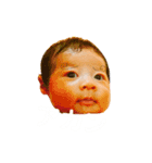 小竹ちゃん2（個別スタンプ：8）