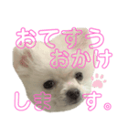 コトコトコットン 敬語編（個別スタンプ：5）