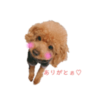 ♡Amelie♡（個別スタンプ：1）