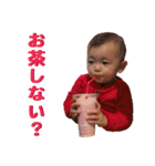 リコタンプ（個別スタンプ：31）