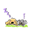 わんこ大好き～ワンずスタンプ～（個別スタンプ：1）