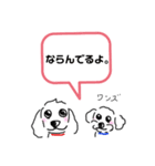 わんこ大好き～ワンずスタンプ～（個別スタンプ：24）