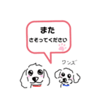 わんこ大好き～ワンずスタンプ～（個別スタンプ：28）