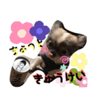 川本さんちの可愛い子ちゃん（個別スタンプ：3）