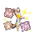 川本さんちの可愛い子ちゃん（個別スタンプ：15）