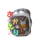川本さんちの可愛い子ちゃん（個別スタンプ：18）