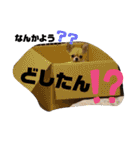 川本さんちの可愛い子ちゃん（個別スタンプ：19）