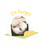 みみ と ひめ（個別スタンプ：2）
