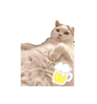 みみ と ひめ（個別スタンプ：7）
