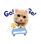 みみ と ひめ（個別スタンプ：14）