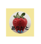 甘えん坊の苺れふ（個別スタンプ：1）