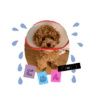 ずずずん（個別スタンプ：1）