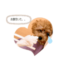 ずずずん（個別スタンプ：5）
