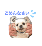 こたろうとだいきち（個別スタンプ：3）