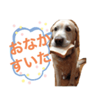 こたろうとだいきち（個別スタンプ：6）