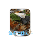 韓国料理マッシッソ❣️（個別スタンプ：9）